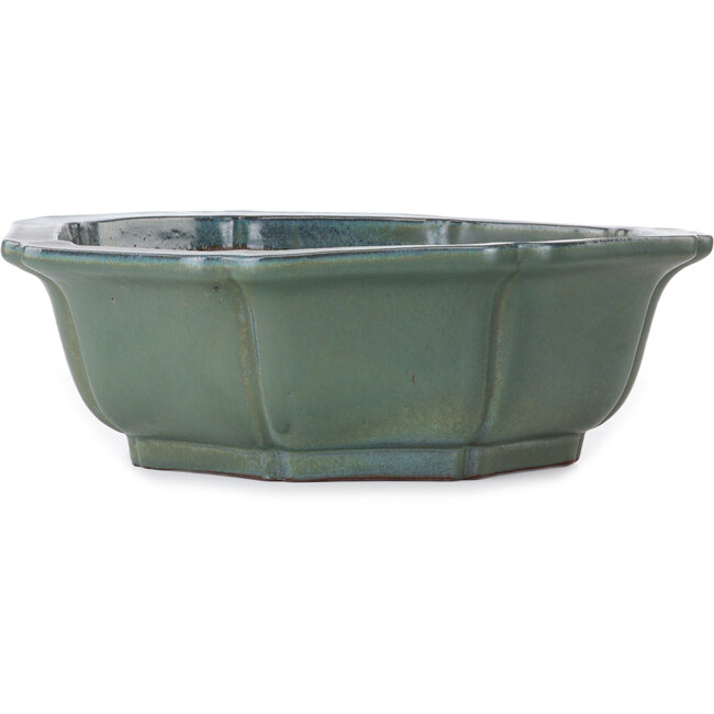 Vaso bonsai a forma di loto da verde a turchese di Kakuzan - 445 x 445 x 135 mm