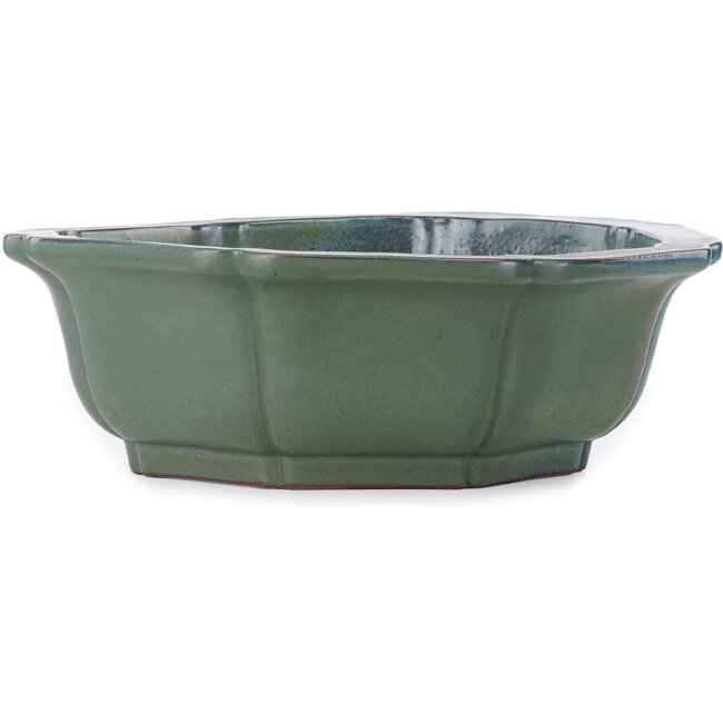 Lotusvormige, groene tot turquoise bonsaipot van Kakuzan - 445 x 445 x 135 mm