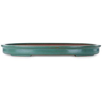 Seizan (Reihou, Kataoka Katsushi, master Seizan kiln) Pot à bonsaï ovale sarcelle de 650 mm par Seizan (Reihou, Kataoka Katsushi, maître four Seizan), Tokoname, Japon