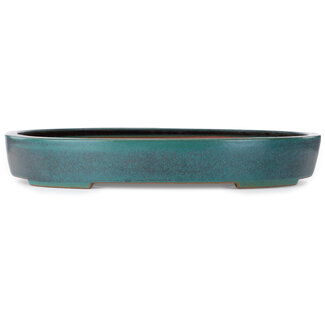 Seizan (Reihou, Kataoka Katsushi, master Seizan kiln) Pot à bonsaï ovale bleu-vert de 635 mm par Seizan (Reihou, Kataoka Katsushi, maître four Seizan), Tokoname, Japon