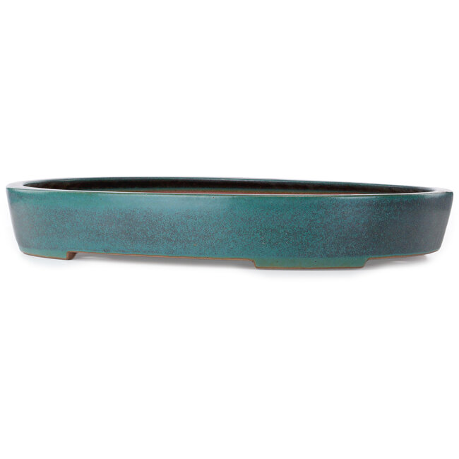 Oval blue-green bonsai pot by Seizan (Reihou, Kataoka Katsushi, master Seizan kiln) - 635 x 460 x 95 mm