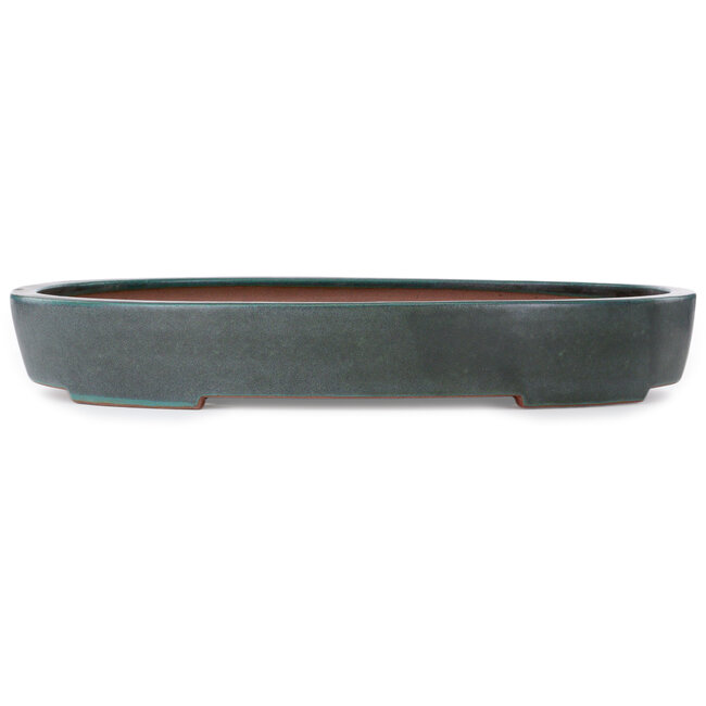 Oval blue-green bonsai pot by Seizan (Reihou, Kataoka Katsushi, master Seizan kiln) - 635 x 460 x 95 mm