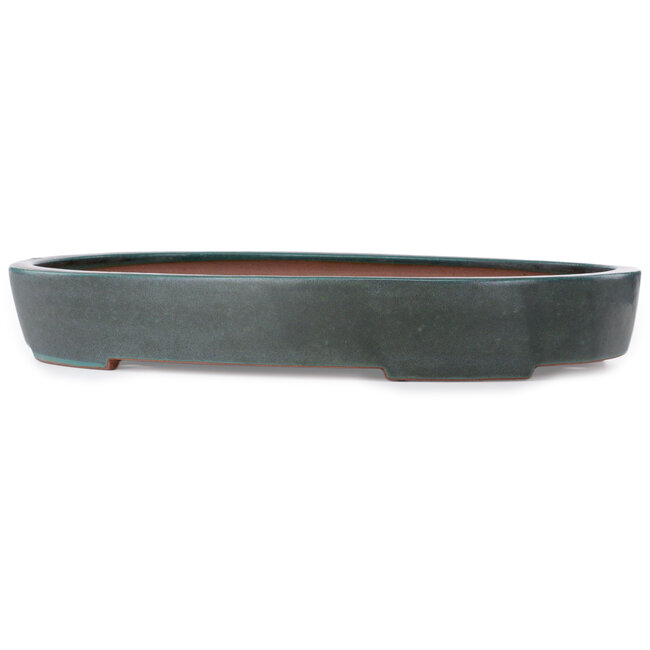 Vaso bonsai ovale blu-verde di Seizan (Reihou, Kataoka Katsushi, forno del maestro Seizan) - 635 x 460 x 95 mm