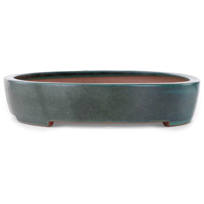 Ovale blauwgroene bonsaipot van Seizan (Reihou, Kataoka Katsushi, meester Seizan oven) - 635 x 460 x 95 mm