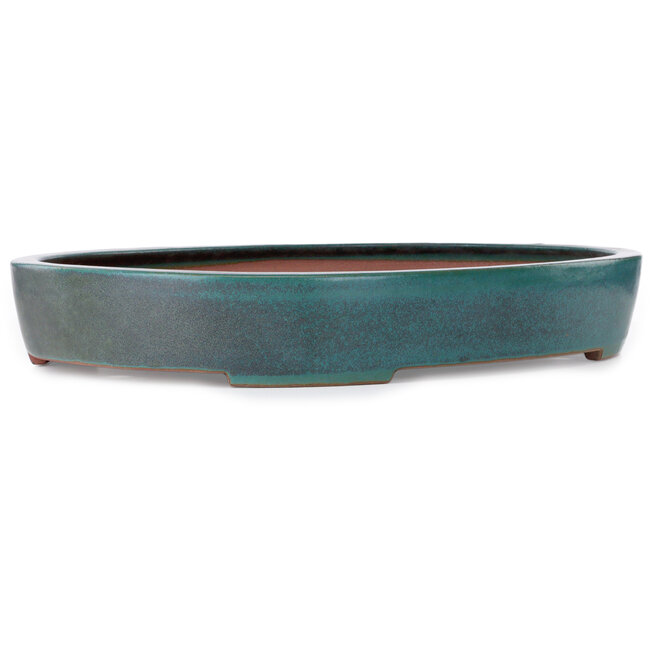 Oval blue-green bonsai pot by Seizan (Reihou, Kataoka Katsushi, master Seizan kiln) - 635 x 460 x 95 mm