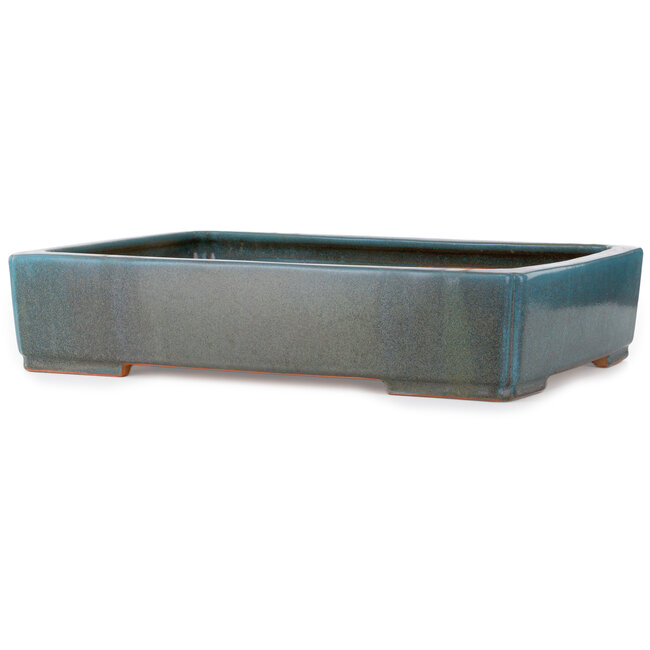 Rectangular blue-green bonsai pot by Seizan (Reihou, Kataoka Katsushi, master Seizan kiln) - 540 x 385 x 115 mm