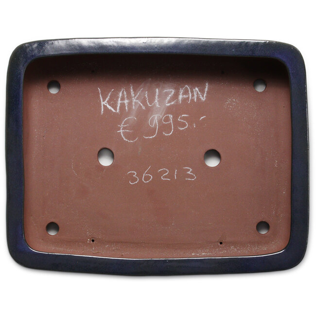 Vaso bonsai rettangolare blu di Kakuzan - 545 x 430 x 115 mm
