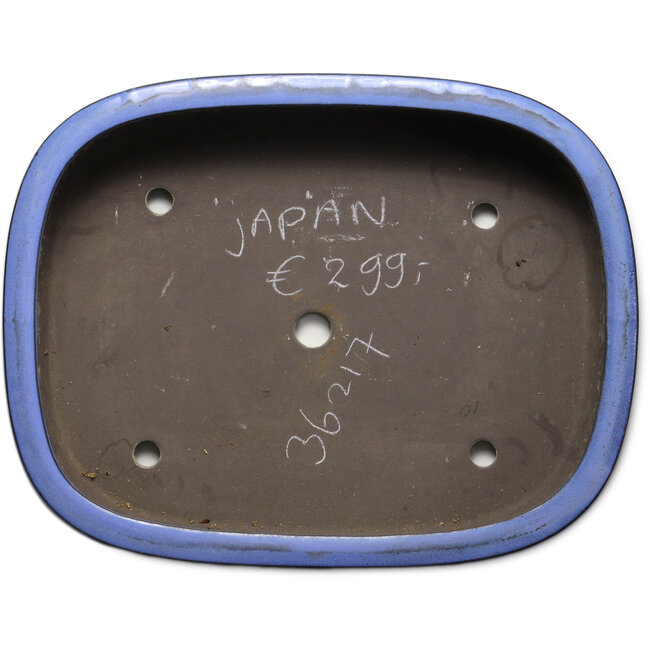 Vaso bonsai rettangolare blu - 435 x 340 x 90 mm