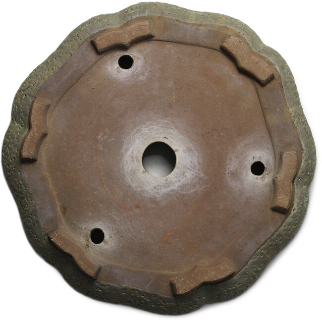 Maceta de bonsái verde con forma de loto de Shuhou - 400 x 400 x 74 mm