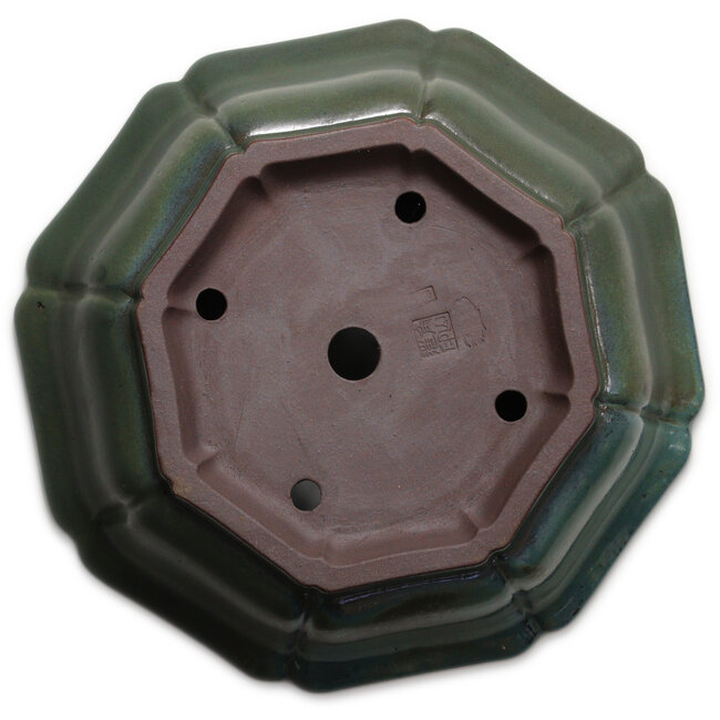 Lotusvormige, groene tot turquoise bonsaipot van Kakuzan - 445 x 445 x 135 mm