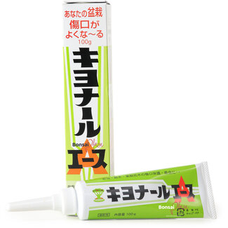 Kiyonal Kiyonal Ace Wundpaste – 100 g