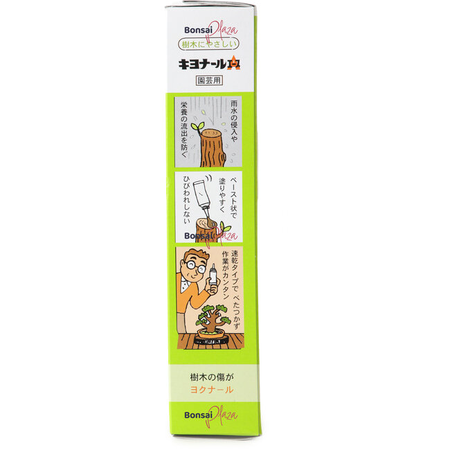 Pâte cicatrisante Kiyonal Ace 100 g – Pâte japonaise pour la cicatrisation des plaies de taille et des greffes sur bonsaï