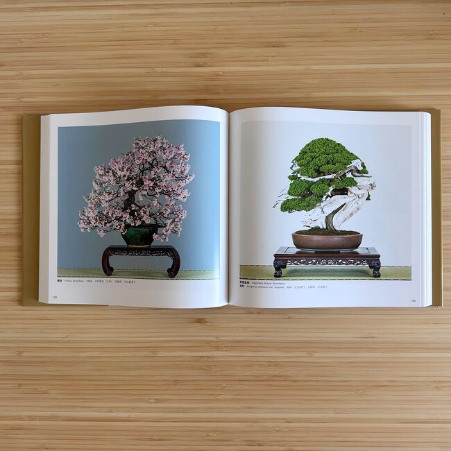 Catalogo della mostra Kokufu Bonsai n. 100 - Edizione giubilare 2026