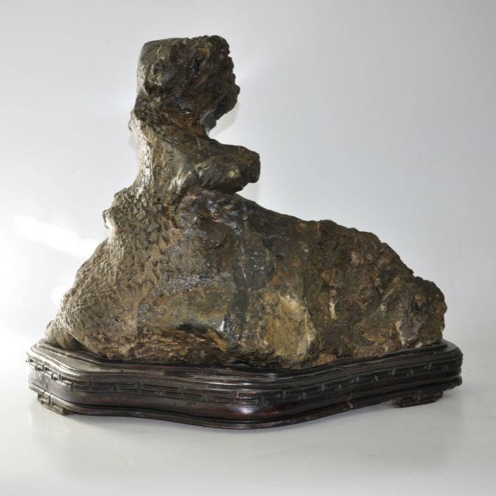 Suiseki - Bonsai Plaza