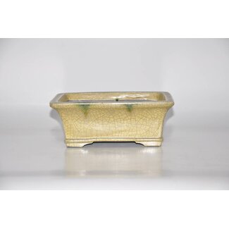 Satomi Mazan, Mazan Terahata Rectangular pot