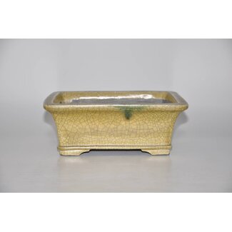 Satomi Mazan, Mazan Terahata Rectangular pot