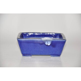  Satomi Mazan, Mazan Terahata Macetero rectangular de 16,5 cm de Terahata Mazan