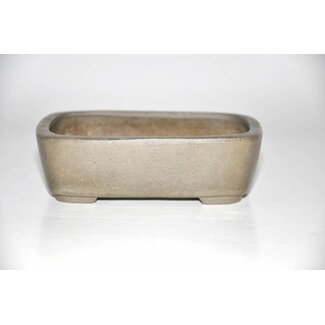 Suzan Rectangular pot