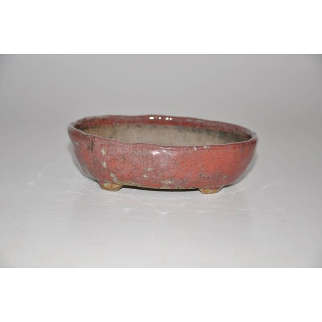 Maceta ovalada de 14 cm de Bunzan