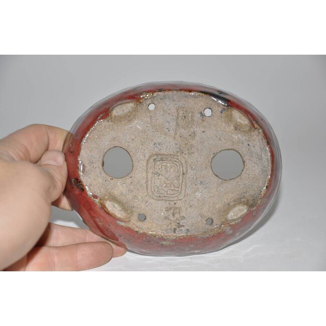 Maceta ovalada de 14 cm de Bunzan