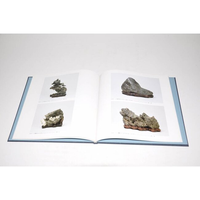 Nippon Suiseki Exhibithion 1998