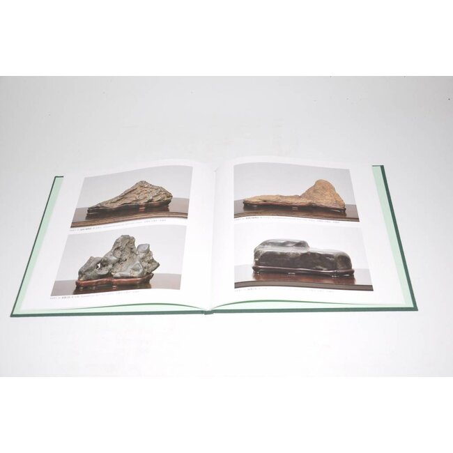 Nippon Suiseki Exhibithion pas 3 2011