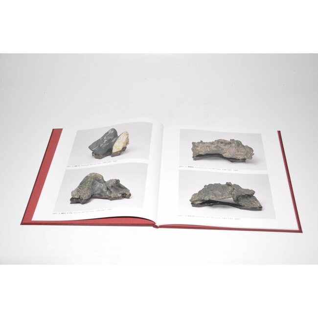 Nippon Suiseki Exhibithion no 2, 2001