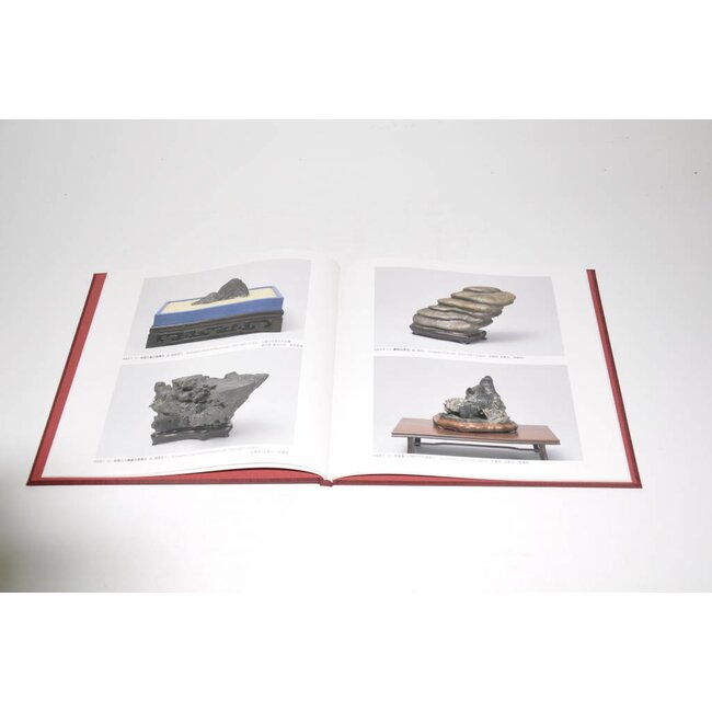 Nippon Suiseki Exhibithion n ° 2, 2001