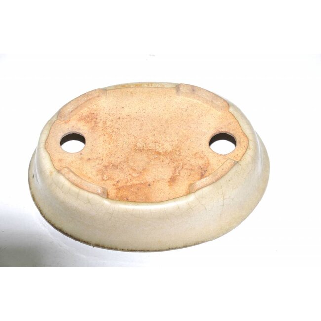 Ovale 14 centimetri Hattory