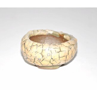 Tani Ranzan Pot 2,6 cm x 5 cm, Tani Ranzan