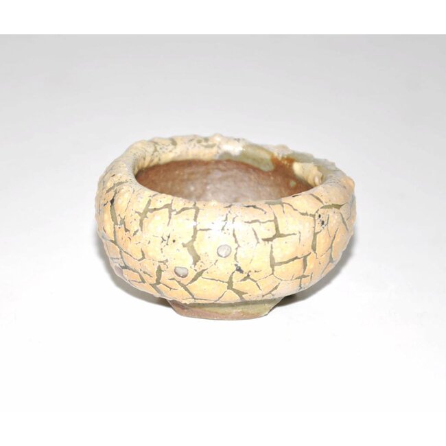 Pot 2,6 cm x 5 cm, Tani Ranzan