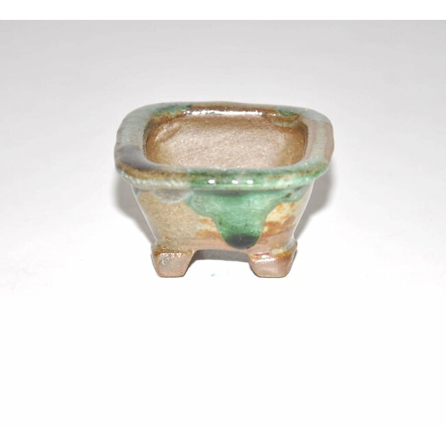 Pot 2,8 cm x 5 cm x 5 cm, Tani Ranzan.