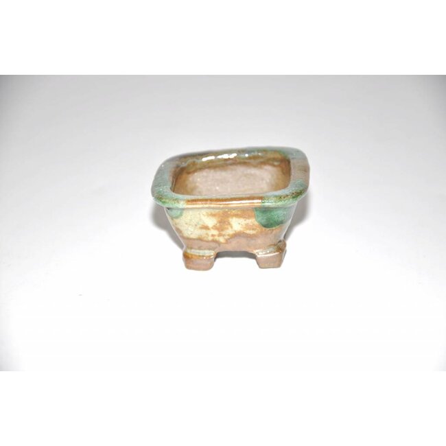 Pot 2,8 cm x 5 cm x 5 cm, Tani Ranzan.