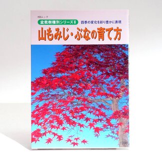Acer bonsai handboek