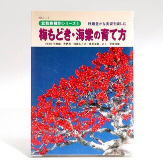 Ilex Bonsai Handbuch