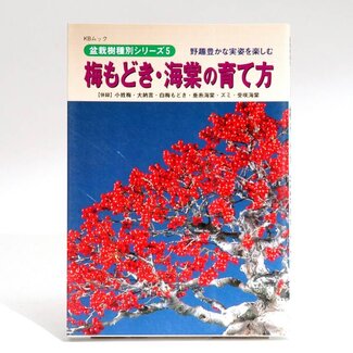 Manuale bonsai Ilex