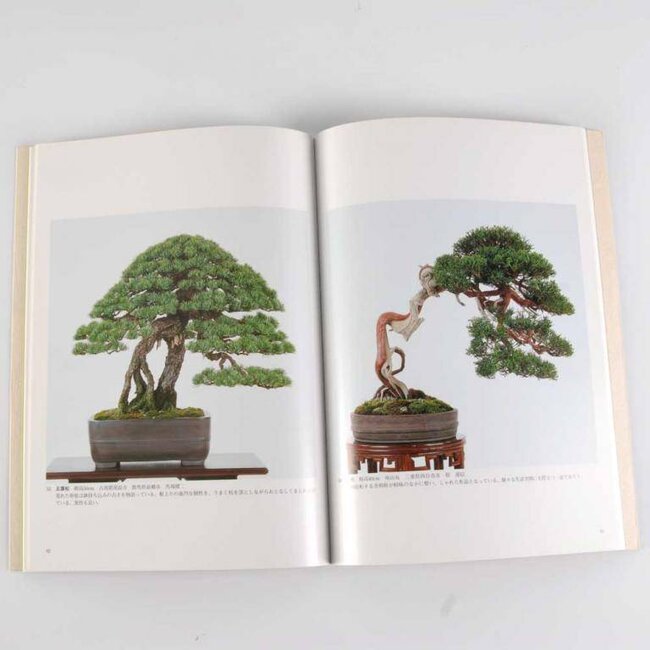 Sakafu-Ten # 29 - 2004