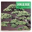 Catalogue de l'exposition Kokufu Bonsai n° 73 - 1999