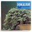 Kokufu-Bonsai-Ausstellungskatalog Nr. 62 – 1988
