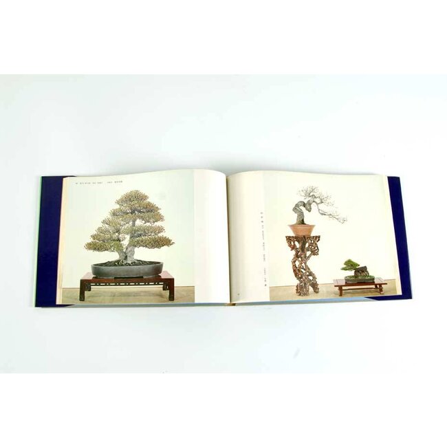 Kokufu Bonsai Exhibition catalogue n° 49 - 1975