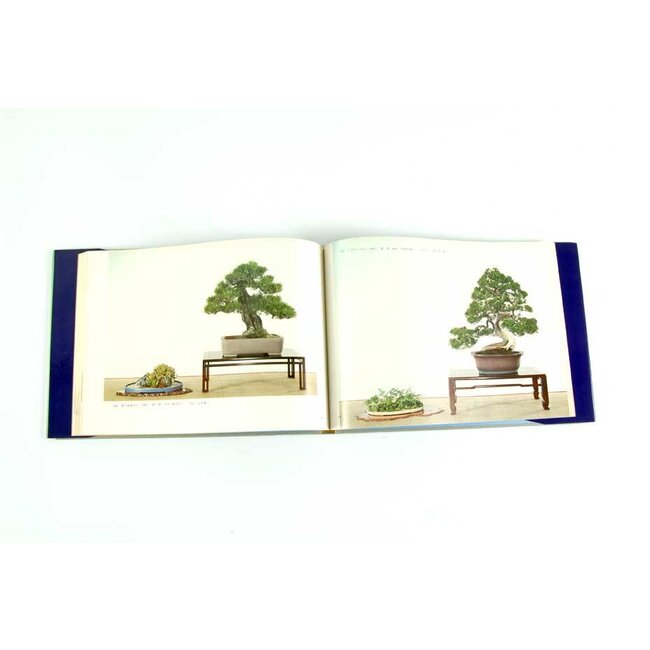 Kokufu Bonsai Exhibition catalogue n° 49 - 1975