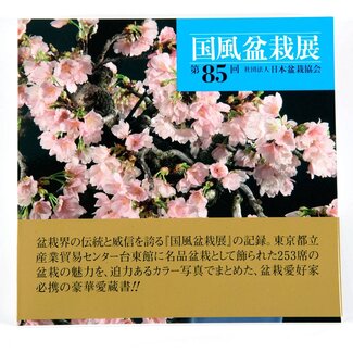 Kokufu Ten nr. 85 - 2011