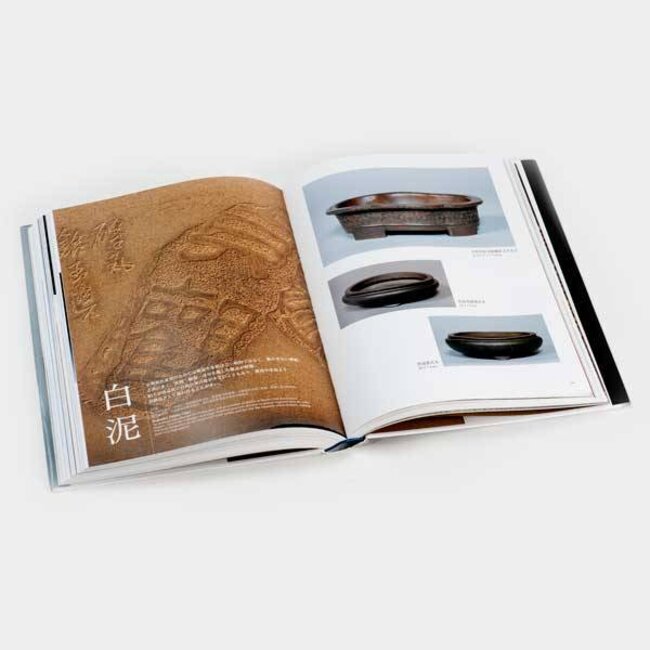 The Beauty of Pots and Bonsai