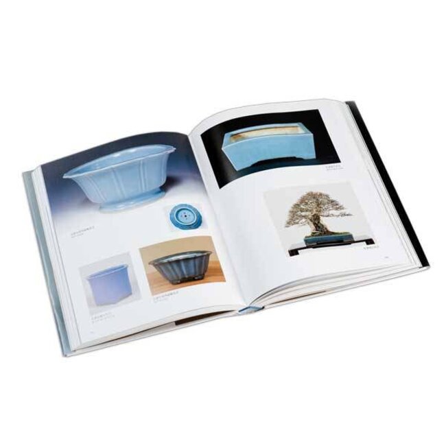 The Beauty of Pots and Bonsai