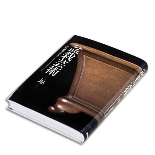 The Beauty of Pots and Bonsai