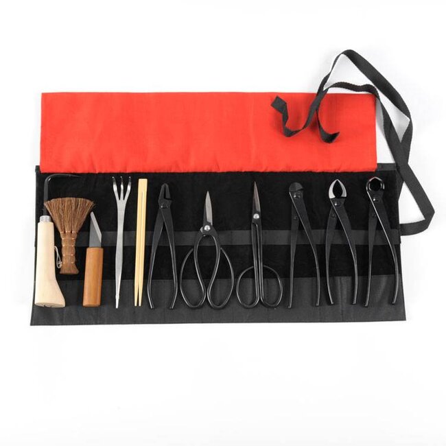 Set di 12 utensili per bonsai in acciaio, M / L (~ 210 mm)