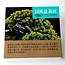 Catalogo della mostra Kokufu Bonsai n° 86 - 2012