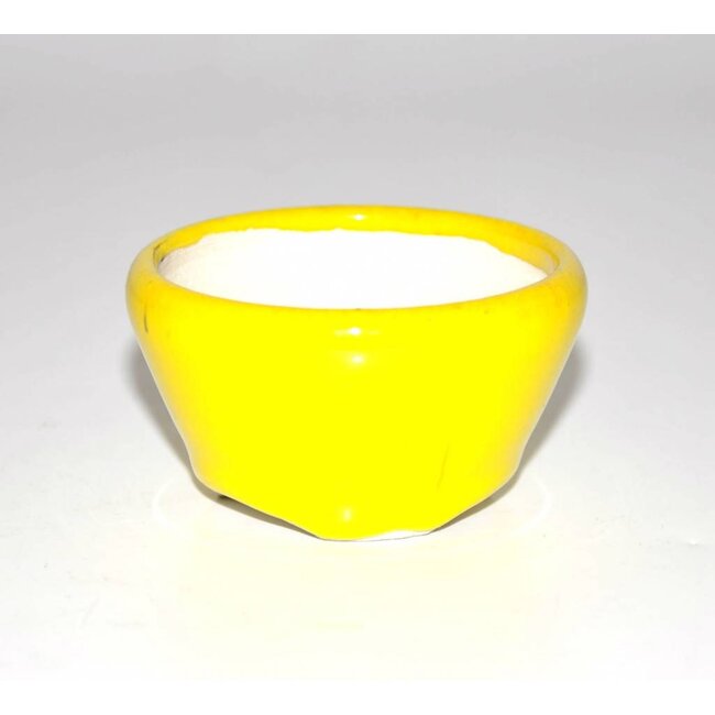 Ronde pot 3,5 cm x 6,5 cm Bikou