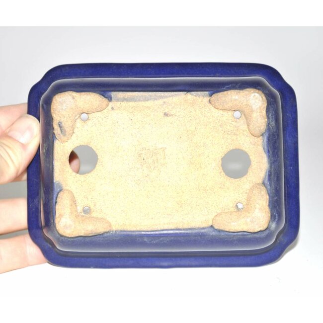 Rectangulaire 145 mm, Hattori Tokoname