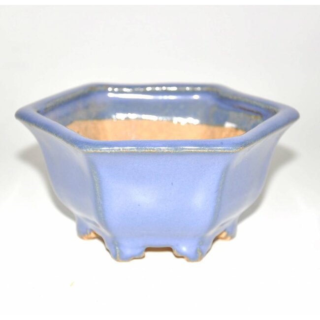 Quadrat, 6 cm x 11 cm, Hattori-Tokoname